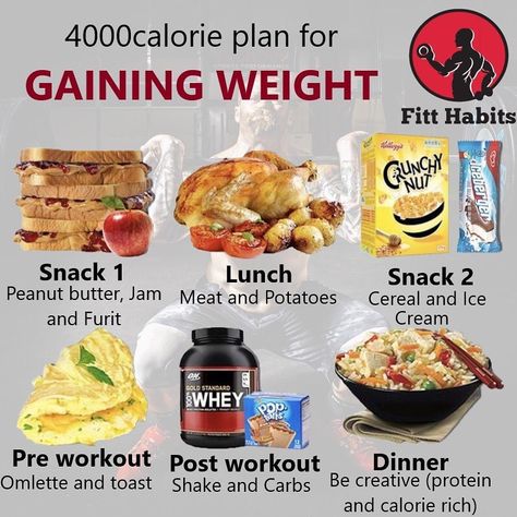 Weight Gain Drinks, Weight Gain Diet Plan, Weight Gain Plan, Tips To Gain Weight, Ways To Gain Weight, Healthy Weight Gain Foods, Food To Gain Muscle, Weight Gain Workout, Weight Gain Diet