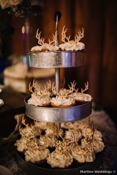 Hunting Bridal Shower Ideas, Casual Winter Wedding, Rustic Wedding Cupcakes, Country Wedding Cupcakes, Enchanted Forest Wedding Cake, Forest Wedding Cake, Wedding Cake With Cupcakes, Lake Placid Florida, Wedding Hors D'oeuvres