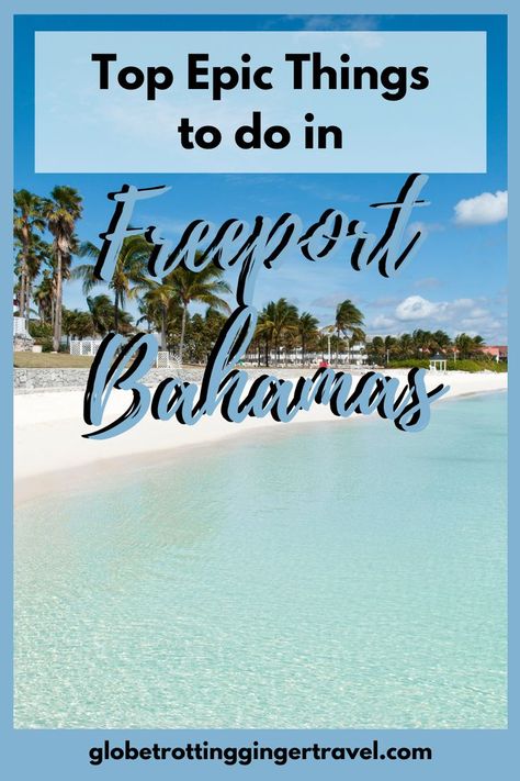 With over 700 islands in the Bahamas, it can be hard to pick where to go. Here are things to do in Freeport Bahamas and what it has to offer! Bahamas Itinerary, Freeport Bahamas, Pelican Bay, Bahamas Travel, Bahamas Island, Shark Swimming, Perfect Itinerary, The Bahamas, Underwater Photography