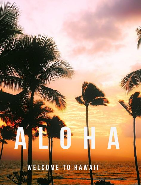 Welcome to the Oahu Beach Guide!  #ExquisiteCoasts #Hawaii #Oahu #Aloha #HawaiianBeaches #Travel Best Hawaiian Island To Visit, Best Beaches Oahu, Best Hawaiian Island, Map Of Oahu, Island To Visit, Lanikai Beach Oahu, Hawaii North Shore Oahu, Oahu Beaches, Hapuna Beach Hawaii