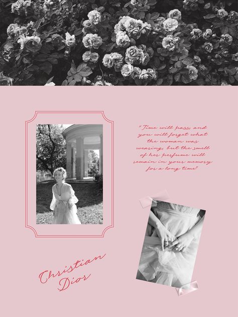 ФИРМЕННЫЙ СТИЛЬ | Rosamund | VISUAL IDENTITY :: Behance Santa Lucia, Editorial Layout, Perfume Brands, Website Inspiration, Website Design Inspiration, 로고 디자인, Web Design Inspiration, Branding Inspiration, Graphic Design Logo