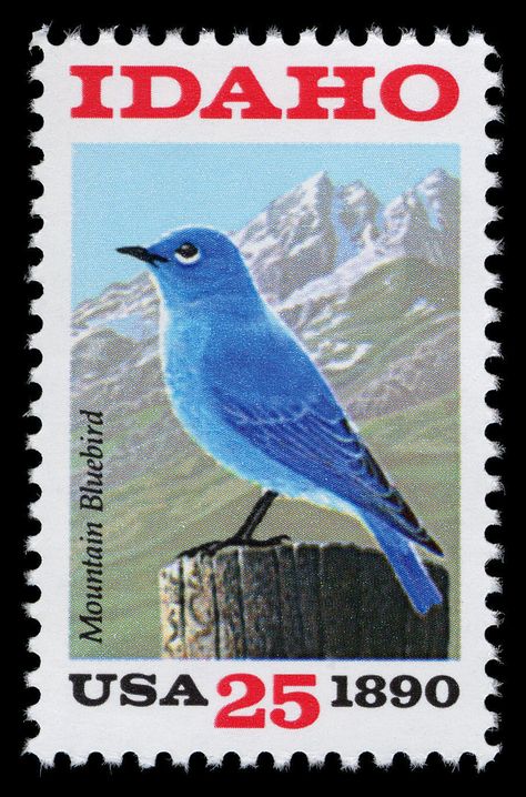 USA 1990 - Idaho Statehood 1890 (43) Pretty Stamps, Gold Coins Money, Mountain Bluebird, Stamps Postage, طوابع بريد, Postage Stamp Collecting, Usa Stamps, Going Postal, Commemorative Stamps