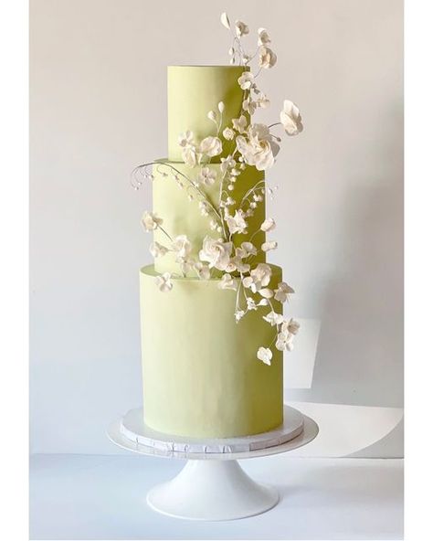 Sage Green Cakes, Cakes Decorated, Green Wedding Cake, Green Cake, Wedding Cake Photos, Modern Wedding Cake, Wedding Cake Decorations, Wedding Cakes With Flowers, Wedding Cake Inspiration