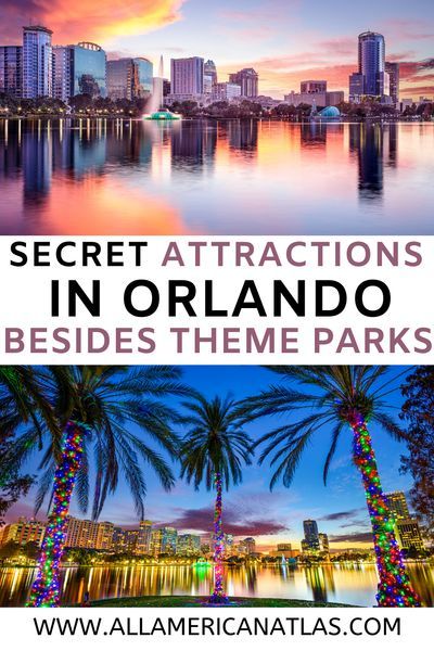 Places To Visit In Orlando Florida, Places To Go In Orlando Fl, Orlando Outdoor Activities, Orlando Things To Do, What To Do In Orlando Florida, Orlando Florida Things To Do, Homecoming Hallways, Things To Do Orlando, Restaurants In Orlando