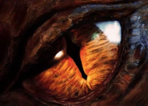 Smaug The Dragon's Eye Super Cool! #Smaug #TheHobbit Smaug Art, Dragon Eyes, Here Be Dragons, Desolation Of Smaug, Cool Dragons, Beautiful Dragon, Dragon Eye, Legolas, Middle Earth