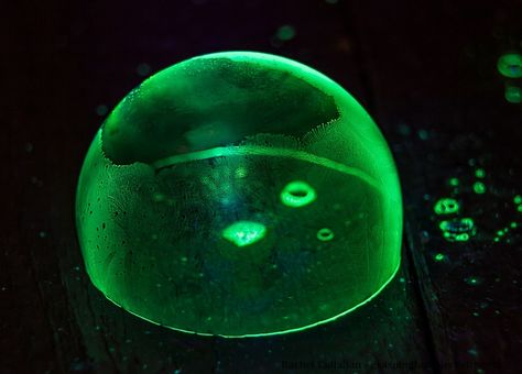 How to Make Glow in the Dark Frozen Bubbles #scienceexperiment #makingbubbles #glowinthedarkbubbles #frozenbubbles Glow Bubbles, Bubble Mixture, Frozen Bubbles, Yellow Highlighter, Tide Detergent, Glow Water, Bubble Pictures, Diy Glow, Winter Carnival