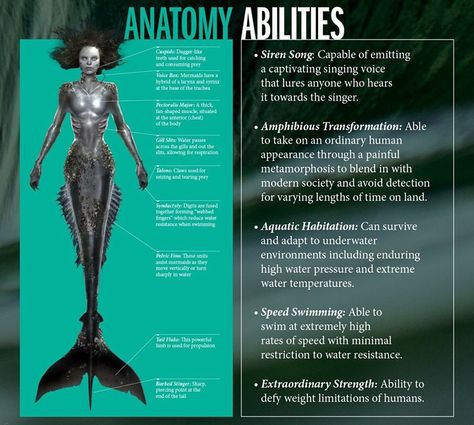 Siren Abilities, Siren Anatomy, Sirens Tv, Mermaids Sirens, Mermaid Mythology, Mermaid Stories, Fantasy Mermaids, Siren Mermaid, Mermaid Drawings