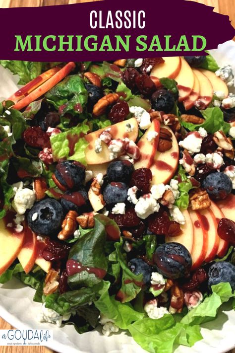 The absolute best Michigan Cherry Salad. Romaine, dried cherries, blueberries, apples, blue cheese and a simple homemade raspberry vinaigrette. #michigansalad #saladrecipes #saladwithfruit #raspberryvinaigrette #healthyeating #classicsalads #agoudalife Michigan Salad Recipe, Cherry Salad Dressing, Michigan Salad, Michigan Cherry Salad, Cherry Salad Recipes, Cherry Salad, Orange Sauce Recipe, Cherries Salad, Blueberry Salad