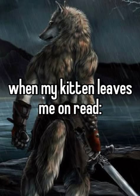 Alpha Wolf Pictures, Alpha Wolf Quotes, Cringe Wolf, Emo Alpha Wolf, Alpha Wolf Wallpaper, Alpha Male Wolf, Alpha Wolf Art, Wolf Pfp, Alpha Mode