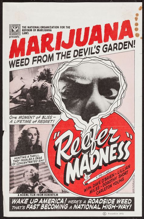 Reefer Madness Reefer Madness, Vintage Poster Design, Dorm Posters, Apparel Brand, Room Posters, New Wall, Graphic Design Typography, Graphic Design Posters, Vintage Ads