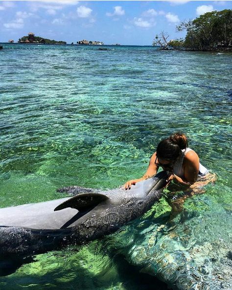 Cartagena, Colombia Hawaii Holiday, Ocean Girl, Summer Picture Poses, I Want To Travel, Summer Dream, Summer Pictures, Beach Vibe, Island Life, Picture Poses