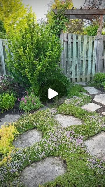 Heather Varkalis | Small Space Gardener on Instagram: "What’s your favorite groundcover? I have several but I especially love Elfin thyme. It creates the most perfect aromatic cushions between the flagstones and is ideal for hot sunny spaces with sharp drainage. It’s steppable and pollinators love it. Just watch your step if you’re a fan of going barefoot! 👣👣👣#groundcover #xeric #gardenthyme #waterwisegardening #chicagogarden #zone6a #hereshegrows" Elfin Thyme, Landscaping With Large Rocks Front Yard, Landscaping With Large Rocks Natural, Garden Tattoos, Wildflower Wedding Invitations, Landscaping With Boulders, Yard Garden Design, Porch Makeover, Front Yard Garden Design