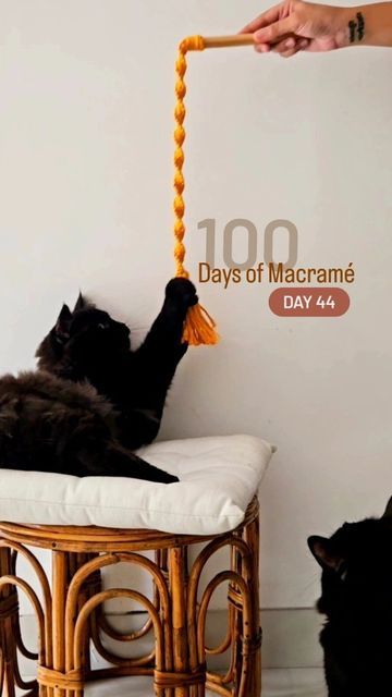 Macrame Cat Toy, Cat Ball, Cat Toy, Macrame Diy, Christmas Craft, Cat Toys, Dog Toys, Macrame, Christmas Crafts