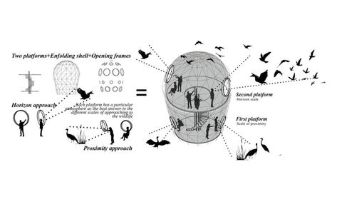 Bird Habitat Architecture, Bird Nest Architecture Concept, Bird Watching Architecture, Bird Blind Architecture, Bird Sanctuary Architecture, Bird Friendly Architecture, Bird Observatory Architecture, Bird Architecture, Nest Architecture