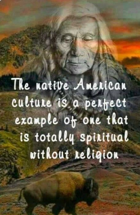 Native American Quotes Wisdom, Native American Proverbs, Rainy Tuesday, Native American Facts, Native American Beliefs, Native Quotes, American Indian Quotes, American Proverbs, Native American Prayers