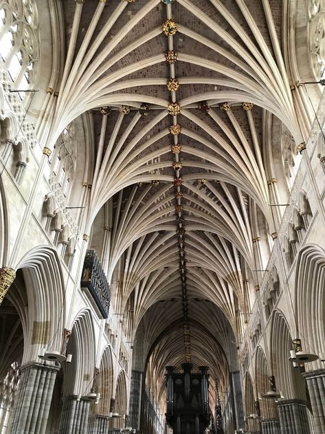 Vaulted ceiling at Exeter Cathedral Exeter Cathedral, Southwark Cathedral, Interior Design History, High Middle Ages, Gothic Cathedrals, Gothic Cathedral, Religious Architecture, Architecture Old, Gothic Architecture