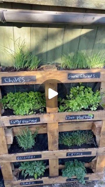 Herb Pallet Garden, Herb Garden Outdoor, Pallet Herb Garden, Aromatic Garden, Pallet Garden Ideas, Herb Box, Herb Garden Wall, Herb Garden Ideas, Landscape Yard