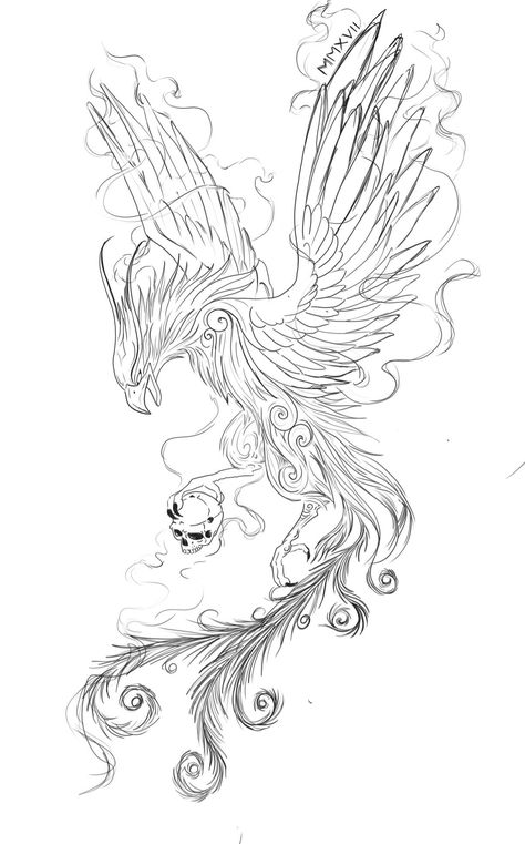 Phenix Birds Drawing, Celtic Phoenix Tattoo, Fenix Tattoo Design, Phoenix And Dragon Tattoo, Phoenix Tattoo Sketch, Phoenix Drawings, Phoenix Sketch, Phoenix Tattoo Men, Phoenix Back Tattoo