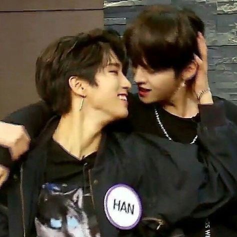 Minsung Skz, Skz Ships, Skz In Cute, Kid Memes, Stray Kids Seungmin, Kids Icon, Homeless Children, Chow Chow, Lee Minho