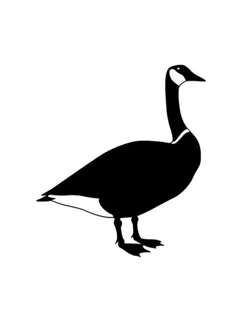 goose silhouette template - Google Search Goose Silhouette, Silhouette Template, Grey Goose, Template Google, Silhouette Art, Christmas Cards Handmade, Mice, Blackwork, Creative Ideas