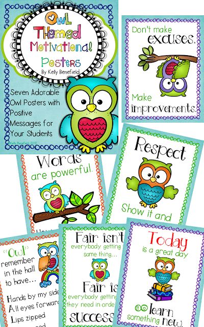 Classroom Bulletin Board Ideas, Owl Classroom Decor, Classroom Back To School, Teaching Displays, Intervention Classroom, Back To School Ideas, Owl Theme Classroom, Owl Classroom, Owl Posters