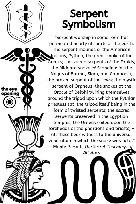 The Snake: a Symbol for Spirit - The Eye Opening Symbol For Spirit, Serpent Symbolism, Culture Around The World, Kemetic Spirituality, Belief System, Sacred Science, Sacred Geometry Symbols, Kundalini Awakening, African Spirituality