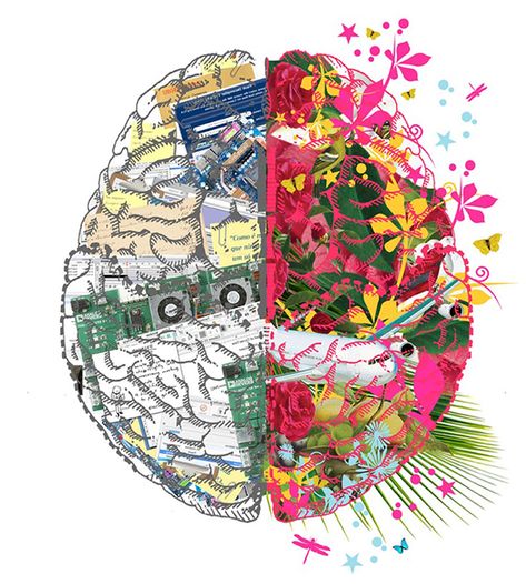 Once Again Science Says Art is Great for your Brain - Jerrysartarama.com Brain Artwork, Left Brain Right Brain, Body Flowers, Brain Illustration, Brain Facts, Brain Art, Vision Quest, Right Brain, Instagram Frame