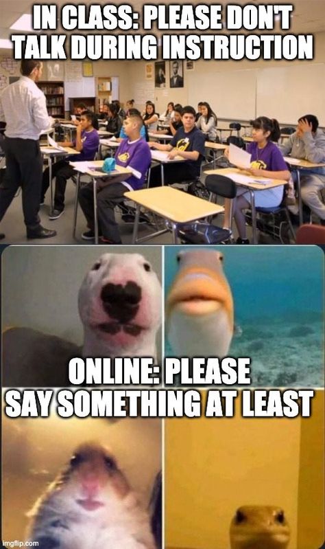 45 Funny Memes About The Disaster That Is 2020 - Funny Gallery Teacher Memes Funny, Teaching Memes, Class Memes, Studying Funny, Student Jokes, 2020 Memes, College Memes, English Memes, Student Humor