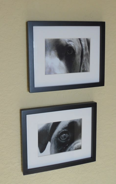 display your pet's photos in your home in a unique way....it's "eye-catching!" Dog Picture Wall Ideas, Pet Gallery Wall Ideas, Pet Picture Wall Ideas, Dog Picture Ideas Decor, Dogs Room, Paw Print Art, Puppy Room, Pet Corner, Dog Room