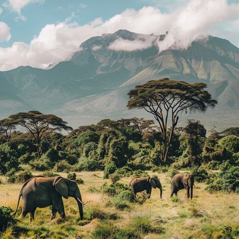 Encountering Elephants in Arusha National Park: A Gentle Giant’s Playground Arusha National Park offers a unique opportunity to observe African elephants in a breathtakingly diverse setting. This park, though smaller than Tanzania’s other safari destinations, provides a lush landscape where elephants roam against the backdrop of Mount Meru. Visitors can watch these majestic creatures as they gracefully navigate the montane forest, providing an intimate glimpse into the life of one of Africa’... African Mural, Africa Forest, African Forest, Africa Landscape, Wild Park, Style Development, Mount Meru, Mural Inspiration, African Landscape