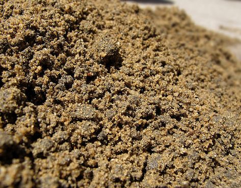 How To Fix Sandy Soil in Virginia Beach, VA - Lawnstarter Growing Grass In Sandy Soil, Growing Grass, Sandy Soil, Science Project, Virginia Beach Va, Virginia Beach, Lawn Care, Galaxy Wallpaper, Wallpaper Iphone