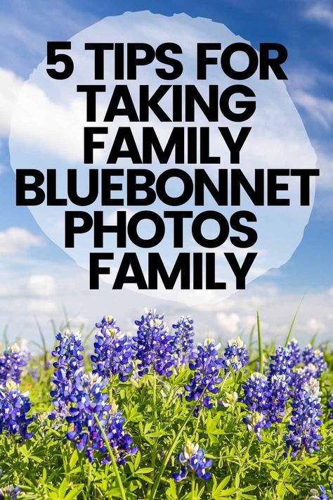 texas bluebonnet photos tips for taking pictures of the family #photography Bluebonnet Photoshoot Family Pics, Family Bluebonnet Pictures, Bluebonnet Photoshoot What To Wear, Bluebonnet Family Photos, Bluebonnet Photoshoot, Bluebonnet Photos, Bluebonnet Pictures, Decatur Texas, Texas State Flower