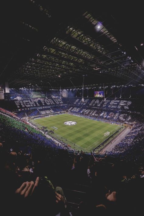 Football Photography, Inter Milan, Cat Memes, Dream Life, Milan, Vision Board, Football, Memes, Photography