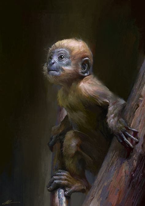 The little monkey, WANG Junling on ArtStation at https://www.artstation.com/artwork/g86wZ Monkey Illustration, Monkey Art, Pet Monkey, A Monkey, Monkey King, Little Monkeys, Arte Fantasy, Creature Concept, Painting Illustration