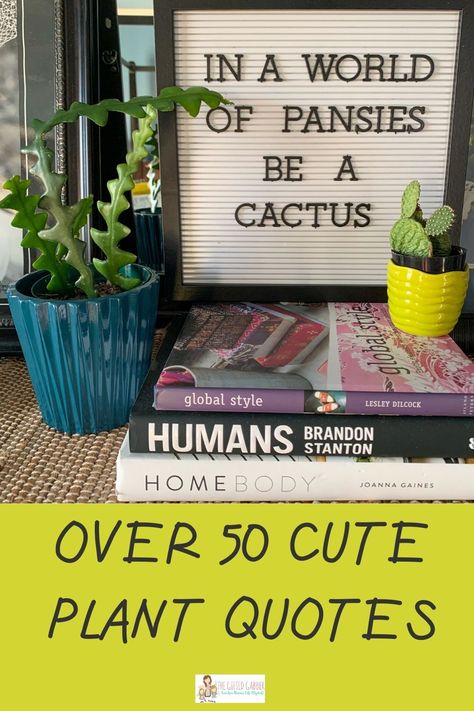 These 50+ funny plant quotes and garden quotes will bring some sass to your home or garden area! Use the short and simple sayings to make outdoor garden signs or chalkboards and letter boards for the inside of your house. These quotes are great ways to add decor to display around your growing potted houseplants, hanging plants, air plants, succulents, herbs and garden plants! Displaying houseplants with fun, cute quotes will add more life to your place! Chalkboard Sayings For Home Funny, Succulent Signs Funny, Funny Garden Decor, Quotes On Gardening, Plant Signs Funny, Funny Cactus Sayings, Cute Plant Sayings, Fun Flower Pots, Garden Quotes Signs Funny