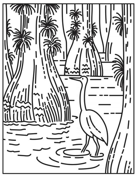 Great Egret Wading in Mangrove and Sawgrass Marsh in Everglades National Park Located in Florida United States Mono Line or Monoline Black and White Line Art Florida Coloring Pages, American Imperialism, Flamingo Coloring Page, Sign In Sheet Template, Statement Template, Sign In Sheet, Everglades National Park, Black And White Lines, Easy Drawings