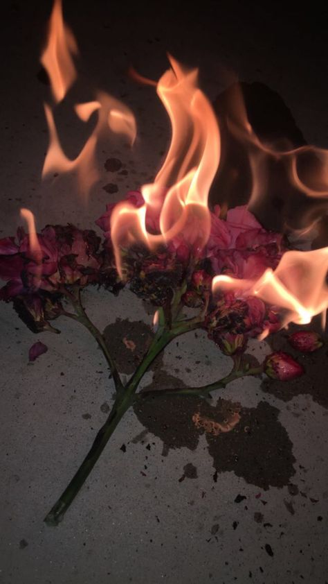 I Hope You Die In A Fire, I Would Burn The World For You, Burned Aesthetic, Indigo Photoshoot, Burning Photography, Paper On Fire, Burning Aesthetic, Burning Photos, Burning Tree