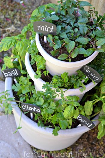 Diy Herb Garden, Gardening Design, Herb Gardening, Vertical Herb Garden, Herbs Indoors, Have Inspiration, Backyard Diy Projects, Garden Designs, Budget Backyard