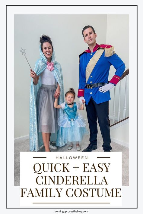 Diy Fairy Godmother Costume Cinderella, Fairy Godmother Halloween Costume, Cinderella Fairy Godmother Costume, Godmother Costume, Disney Family Costumes, Fairy Godmother Costume, Cinderella Halloween Costume, Prince Charming Costume, Cinderella Fairy Godmother