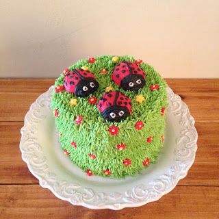 Lady Bird Cake, Ladybug Cake Ideas, Ladybug Smash Cake, Eloise Birthday, Bug Cakes, Bug Birthday Cakes, Birthday Event Ideas, Ladybird Cake, Rose Cakes