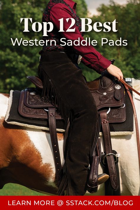 Top 12 Best Western Saddle Pads - Schneiders Best Selling Western Riding Tack, Western Saddle Pads, Western Riding, Saddle Blanket, Saddle Pad, Western Saddle, Horse Life, Saddle Pads, Best Western