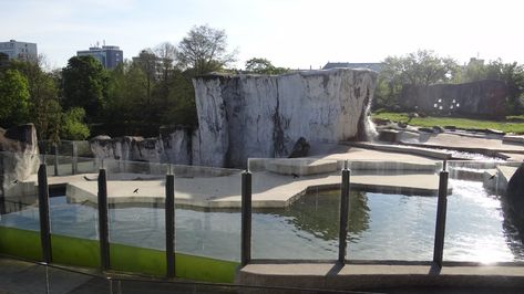 Polar bear exhibit - Karlsruhe Zoo - ZooChat Polar Bear Enclosure, Planet Zoo Seal Habitat, Planet Zoo Aquatic Habitat, Arctic Zoo Exhibit, Zoo Boo, Lion Zoo Exhibit, Zoo Pictures, Jaguar Zoo Exhibit, Zoo Architecture