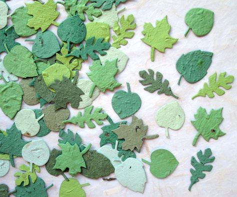 NEW LARGER 100 Plantable Paper Seed Wedding Favor Confetti Leaves. $18.00, via Etsy. Confetti Leaves, Seed Confetti, Flower Seed Paper, Leaf Confetti, Plantable Paper, Seed Wedding Favors, Winter Wedding Favors, Diy Confetti, Plantable Seed Paper