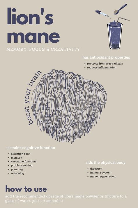 Lion's Main Mushroom, Mushrooms For Inflammation, King Trumpet Mushroom Benefits, Functional Mushroom Benefits, Lions Mane Supplement, Lions Mane Mushroom Illustration, Lions Mane Benefits For Women, Lion's Mane Mushrooms, Benefits Of Lions Mane Mushroom