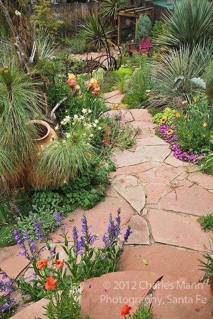 Penstemons, columbines, iris and iceplant are among the many blooming plants that embellish the flagstone path to the lower pond in Dan Johnson's backyard garden in Denver, Colorado Colorado Backyard Landscaping, Xeriscape Colorado, Colorado Xeriscape, Colorado Gardens, Garden Flagstone, Colorado Backyard, Colorado Flowers, Colorado Landscaping, Colorado Gardening