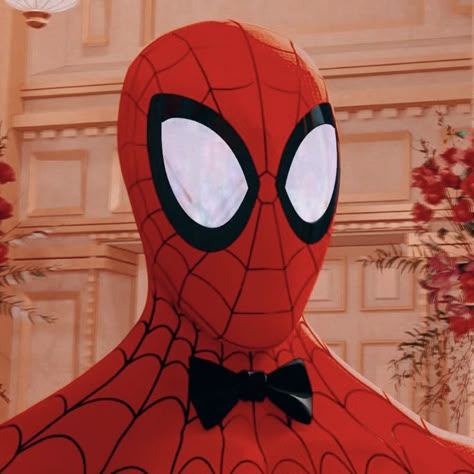 Peter B Parker Icon, Peter B Parker, The Spider, Spider Verse, Spiderman