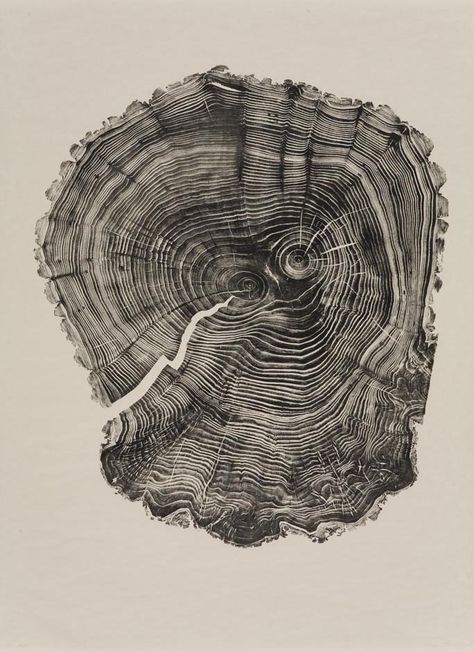 Woodcuts — Bryan Nash Gill Blog Art, Woodcuts Prints, Relief Print, Cross Section, Art Et Illustration, Art And Illustration, Patterns In Nature, Pablo Picasso, Art Plastique