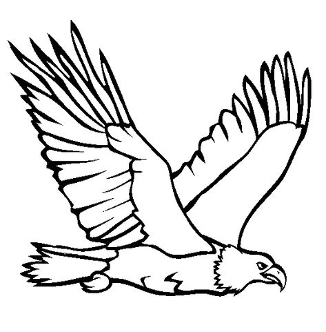 Bald Eagle coloring printable                                                                                                                                                      More Eagle Coloring Pages, Bald Eagle Pictures, Memorial Day Coloring Pages, Aigle Royal, Eagle Flying, Eagle Drawing, Elephant Coloring Page, Eagle Pictures, Flying Eagle