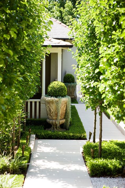 Whether you live in a Victorian terrace or Hamptons style home, a front yard serves as the first impression of every residence. So, we’ve rounded up 16 fabulous landscaping ideas to suit every type of home, so visitors will be in awe before they’ve entered your front door. Pyrus Chanticleer, Courtyard Landscaping, Sandstone Paving, Backyard Renovations, Formal Garden, Garden Shrubs, Formal Gardens, Container Gardens, Traditional Landscape