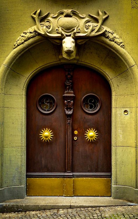 Modern Entryway Ideas, Doors Of Perception, Linz Austria, Owl Door, The Doors Of Perception, Rhineland Palatinate, Gorgeous Doors, Door Entryway, Modern Entryway